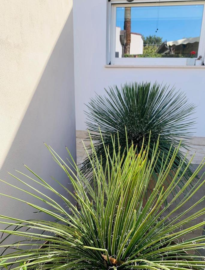 Vila Hiero House Lascari Exteriér fotografie